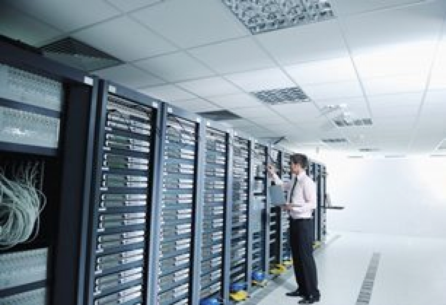 Sunucu &amp; Network Hizmeti